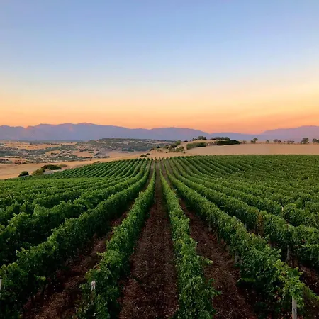 Wine Relais Luxury San Pietro Фермерский дом Bulzi