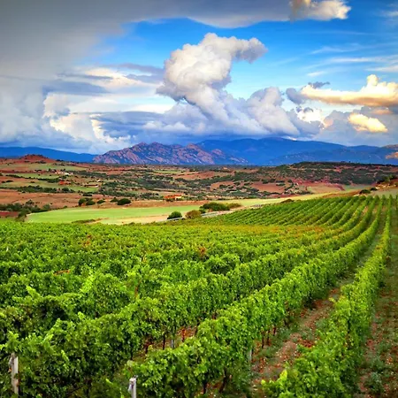 Wine Relais Luxury San Pietro Фермерский дом Bulzi